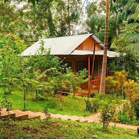 Cabanas Dechi Puerto Narino Ngoại thất bức ảnh