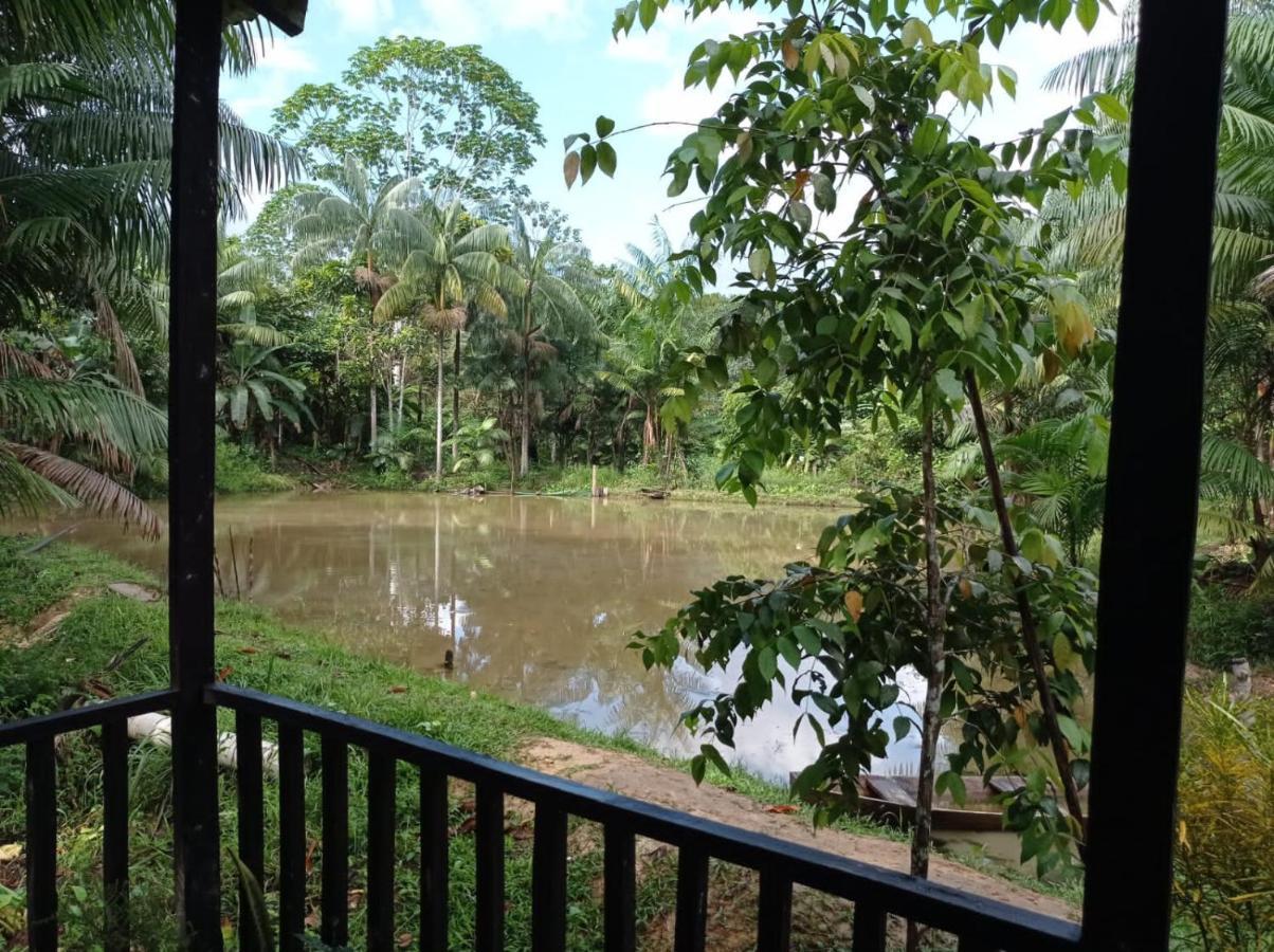 Cabanas Dechi Puerto Narino Ngoại thất bức ảnh